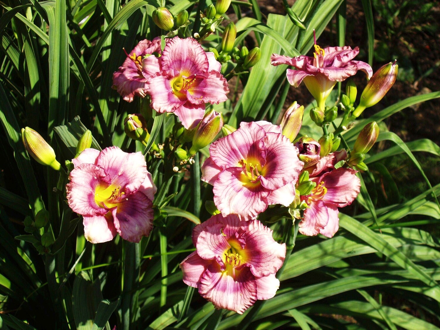 Baby Take a Bow 02 597 x LBB Baby