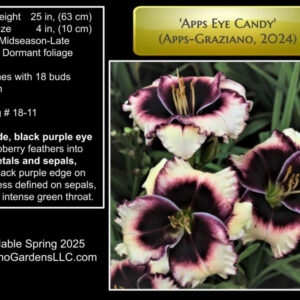 Apps Eye Candy Apps Graziano 2024 Intro