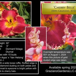 Cherry Belle Apps Graziano 2024